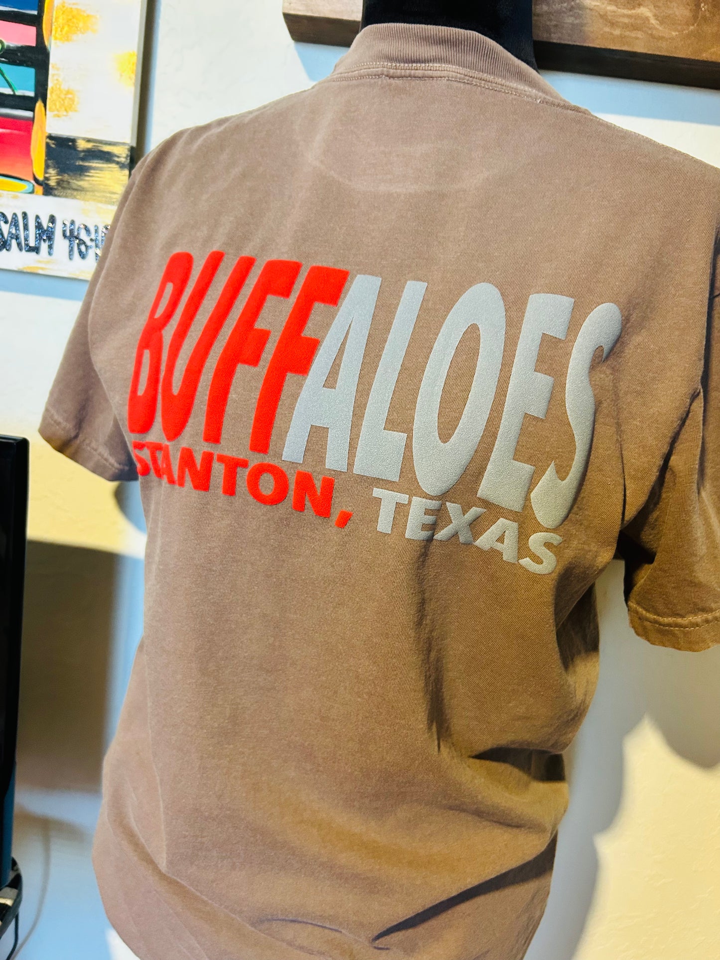 BUFFALOES - Stanton,Texas