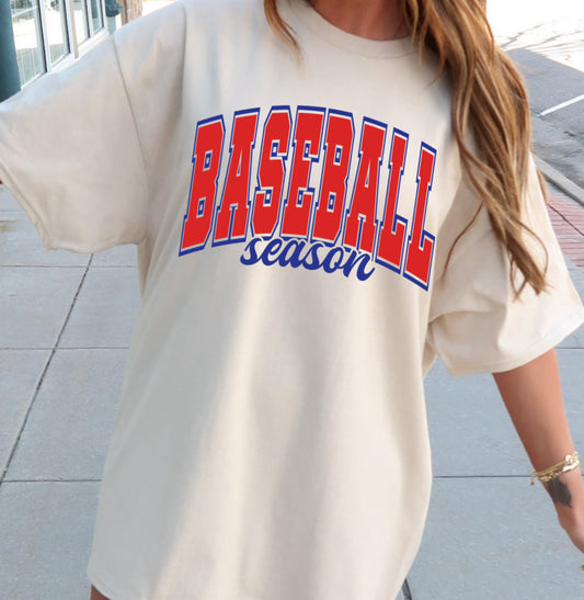 BASEBALL SEASON - VARSITY LETTERS